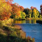 Indian Summer - Oudewijvenzomer