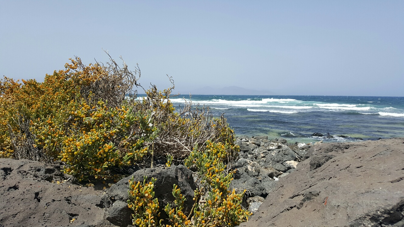 Fuerteventura